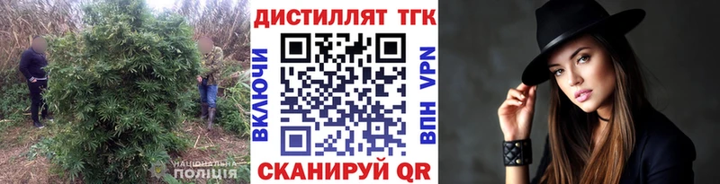 Купить где  Покров  ТГК концентрат 