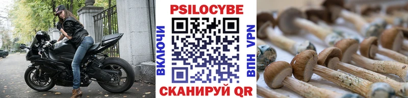 Галлюциногенные грибы мицелий  Купить  Покров 